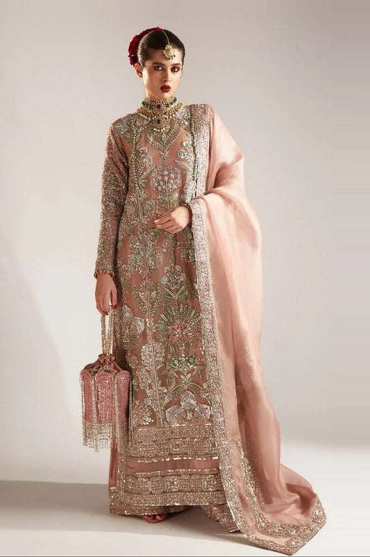 Hussain Rehar Luxury Organza Embroidered 3Pc Unstitched Suit Verve