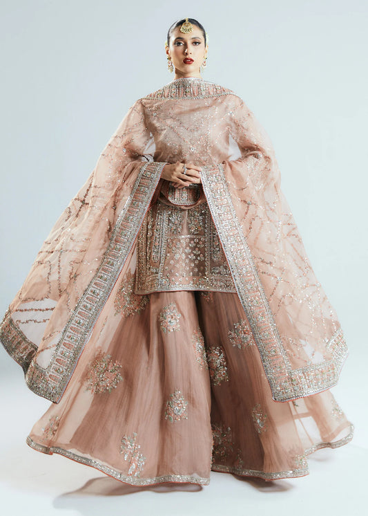 Hussain Rehar Luxury Pure Organza Hand Emblishment Suit DUNE