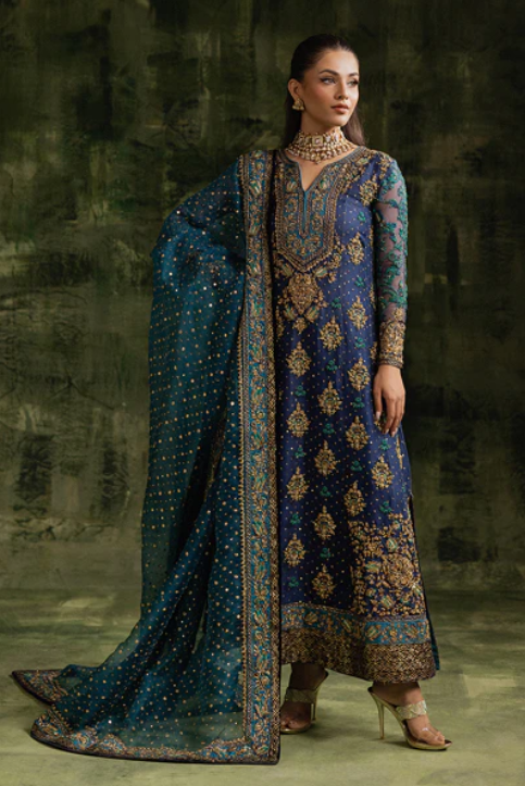 Sara Naqvi Wedding Festive Organza Hand Emblishment Unstitched Collection Shahbano