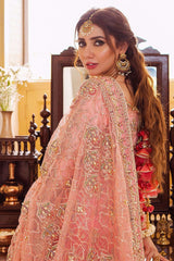 Mohsin Naveed Ranjha 2 Tone Hand Embroidered Suit MOJGAN 03