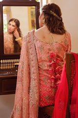 Mohsin Naveed Ranjha 2 Tone Hand Embroidered Suit MOJGAN 03