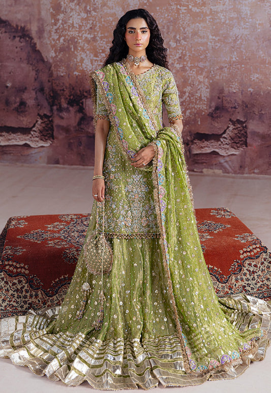 Sara Rohale Asghar Luxury Organza Embroidered Unstitched 3 Piece - Shadan