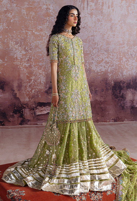 Sara Rohale Asghar Luxury Organza Embroidered Unstitched 3 Piece - Shadan