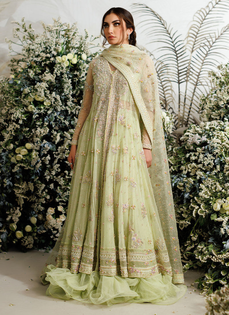 Farah Talib Aziz FTA Wedding Festive Unstitched Net Collection  Eliza Kiwi Tulle Kalidaar