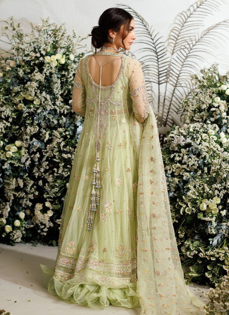 Farah Talib Aziz FTA Wedding Festive Unstitched Net Collection  Eliza Kiwi Tulle Kalidaar