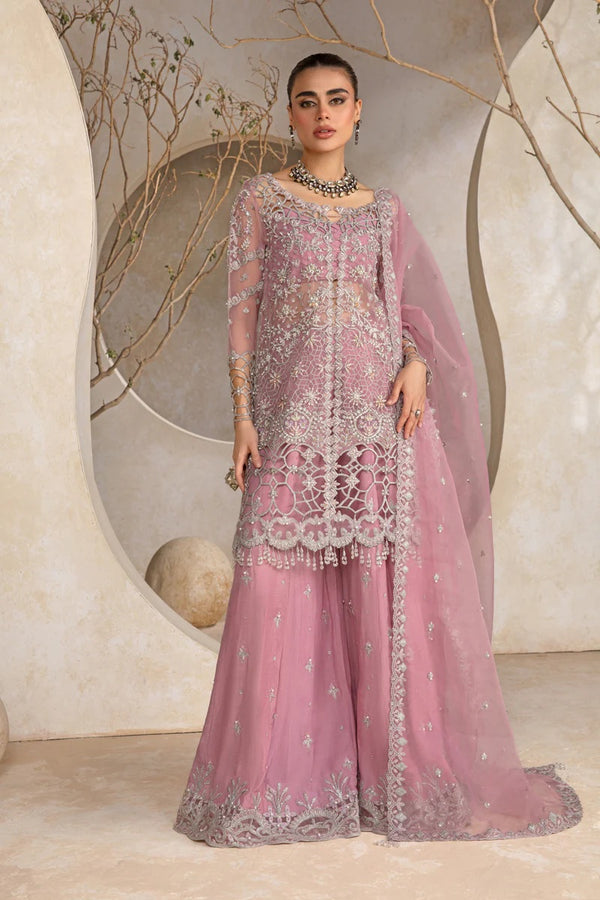 Rang Rasiya Luxury Wedding Festive Organza Embroidered Collection D-05 NATASHA