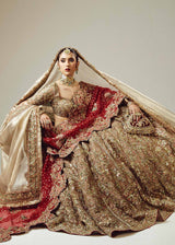 Hussain Rehar Luxury Hand Embrooidered Organza Collection Adaa