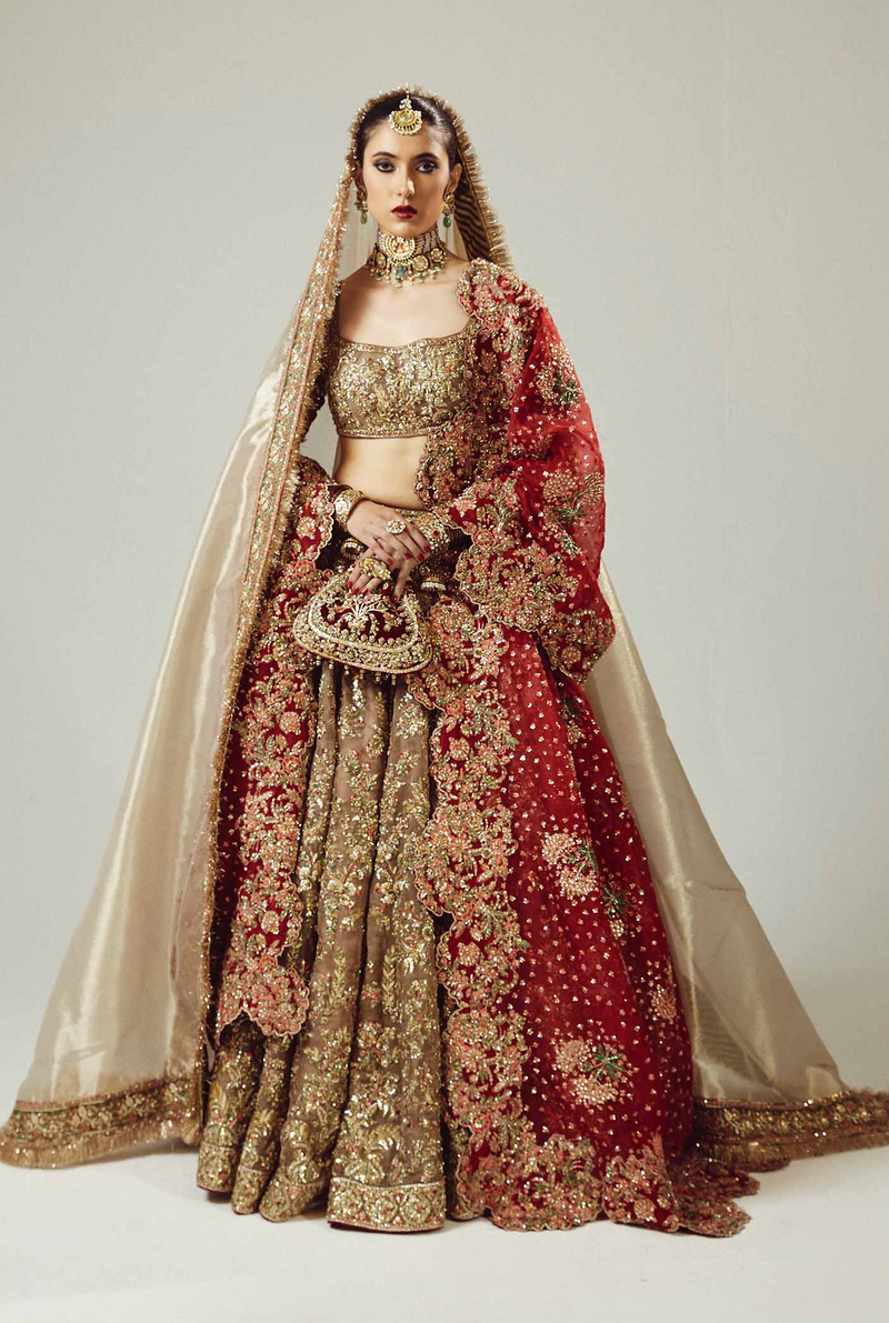 Hussain Rehar Luxury Hand Embrooidered Organza Collection Adaa