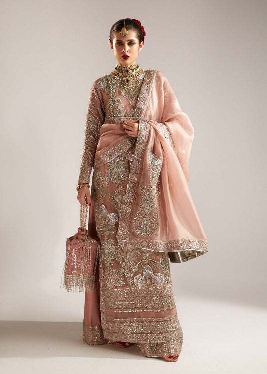 Hussain Rehar Parday ke Peechay Organza Embroidered Verve