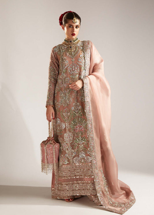 Hussain Rehar Parday ke Peechay Organza Embroidered Verve