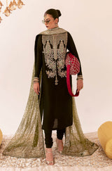 Hussaain Rehar Raw Silk Hand Embroidered Unstitched - Darya