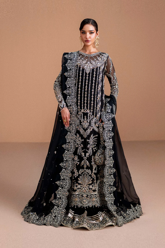 Kanwal Malik Nysa Luxury Organza Hand Emblishment Collection RAYEN