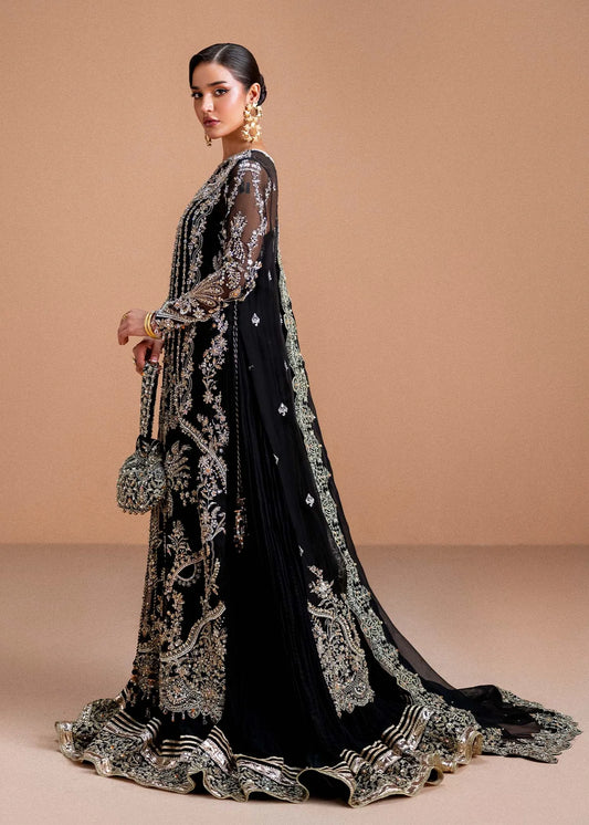 Kanwal Malik Nysa Luxury Organza Hand Emblishment Collection RAYEN