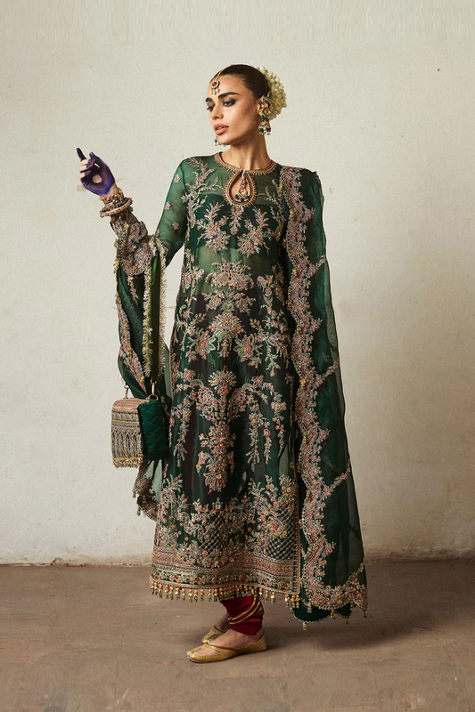 Hussain Rehar Wedding Festive Organza Embroidered Collection JAMALI