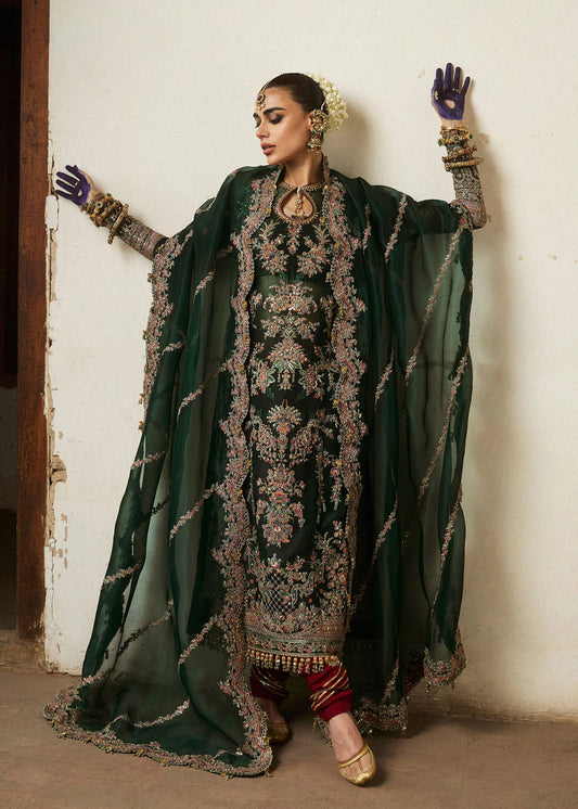 Hussain Rehar Wedding Festive Organza Embroidered Collection JAMALI