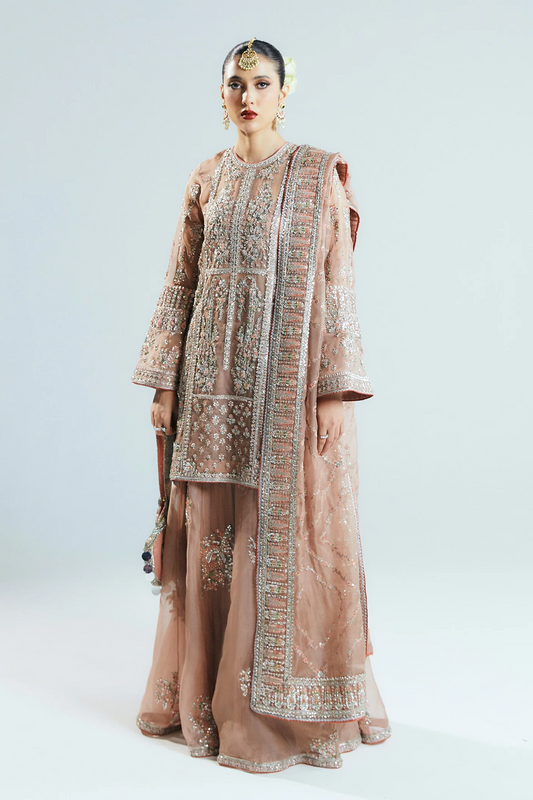 Hussain Rehar Luxury Pure Organza Hand Emblishment Suit DUNE
