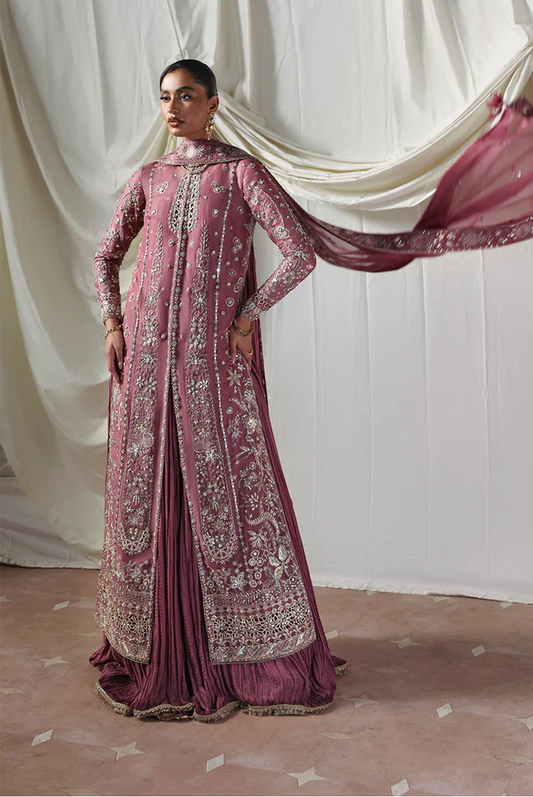 Soraya Lumene Embroidered Organza Unstitched 3Pc Suit - Isolde