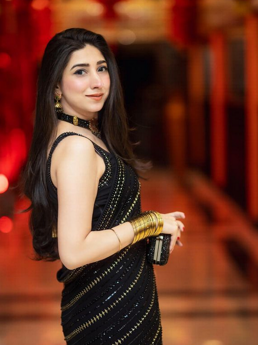 Pehnawa Midnight Black Unstitched Chiffon Embroidered Saree